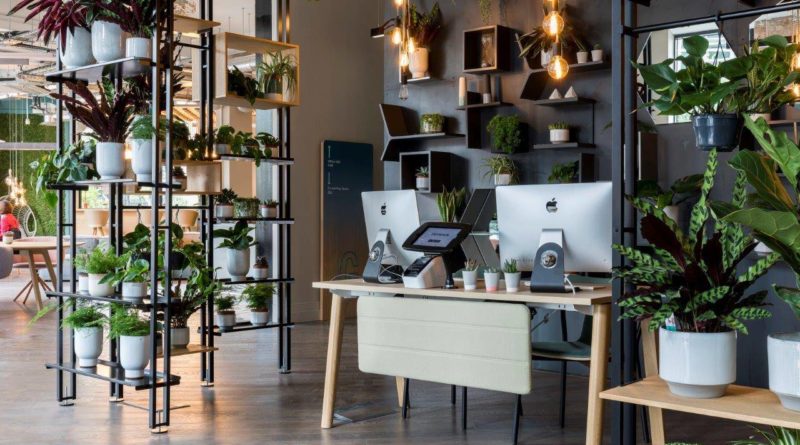 biophilic design