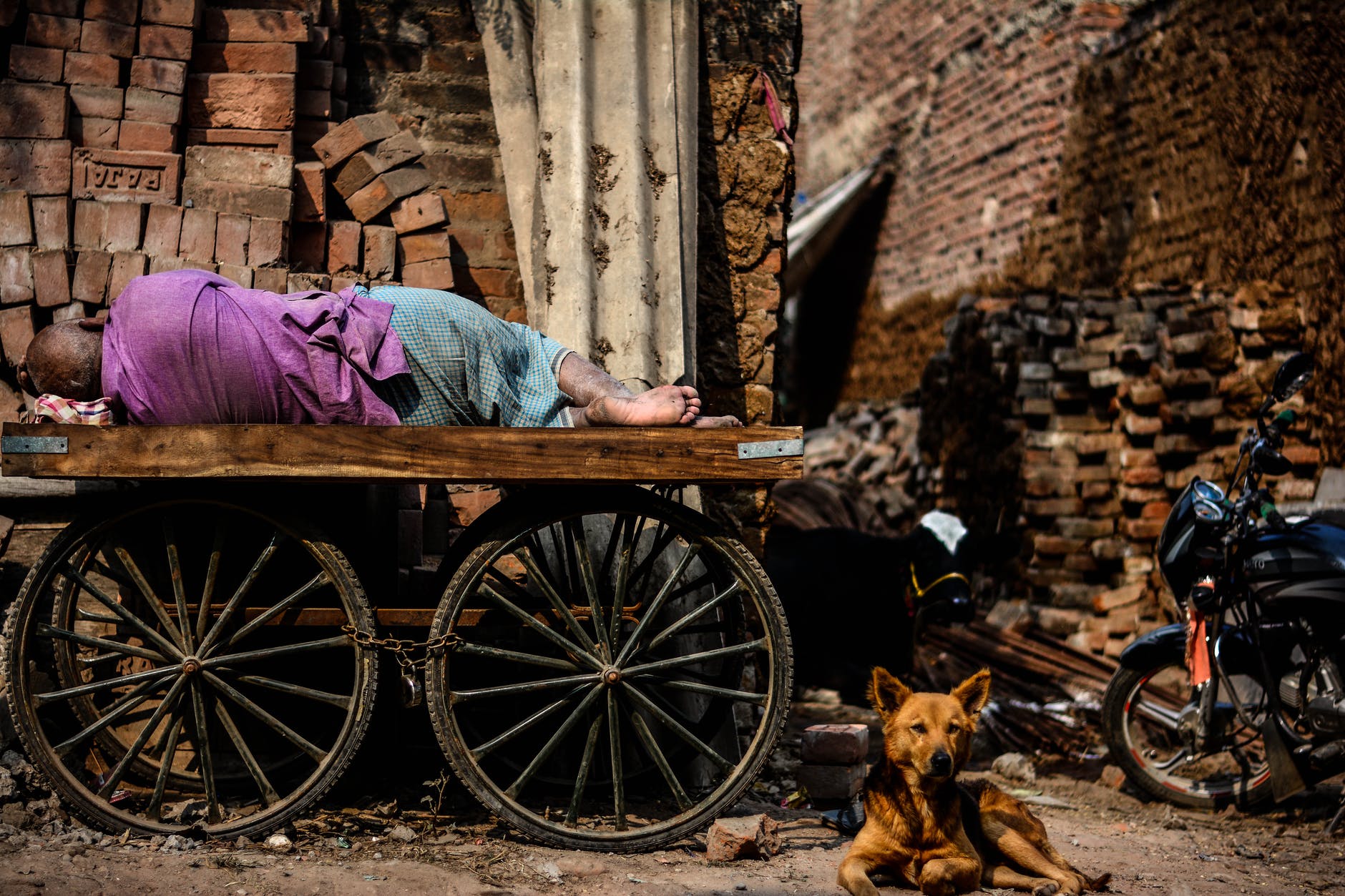 person lying on cart