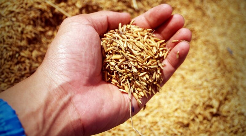 abundance agricultural agriculture arm