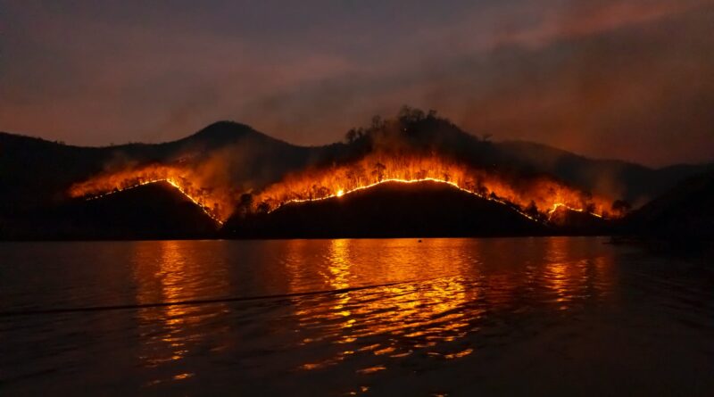 photo of wildfire on mountain