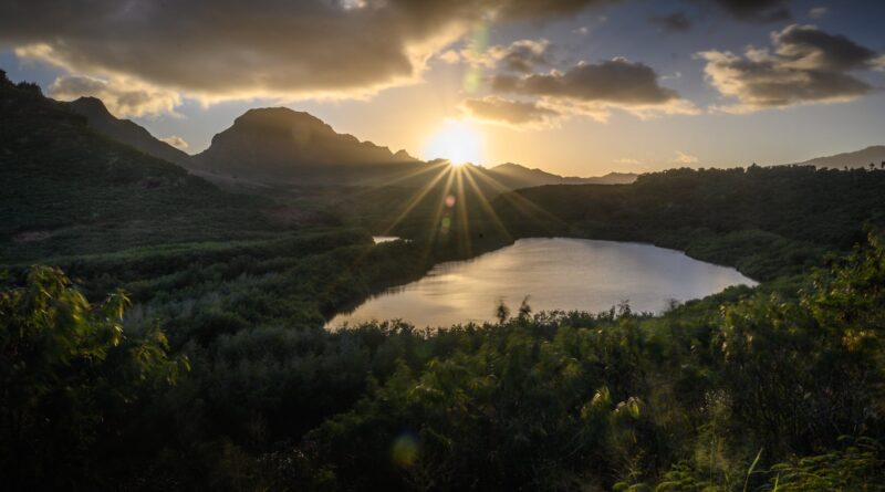 photo of lake surrounded by trees during golden hour