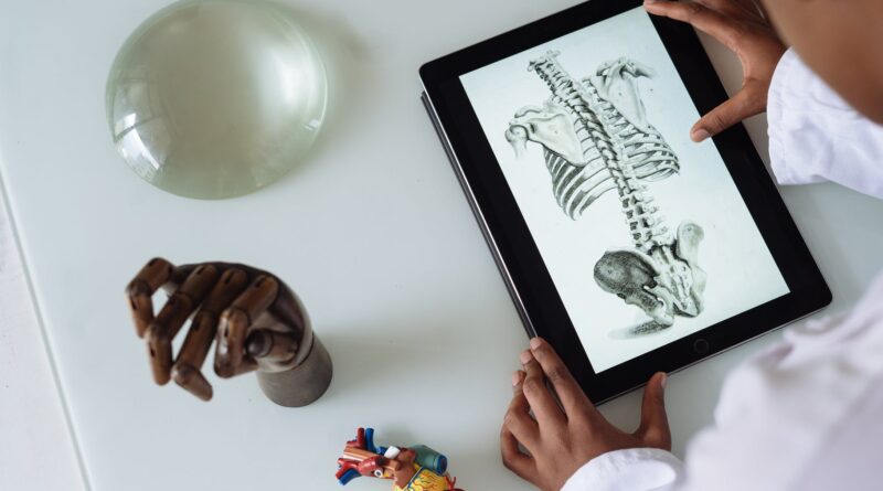 unrecognizable african american scientist studying anatomy with tablet