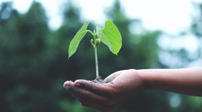 Earth Day honors the environment and remains a call to action for millions.