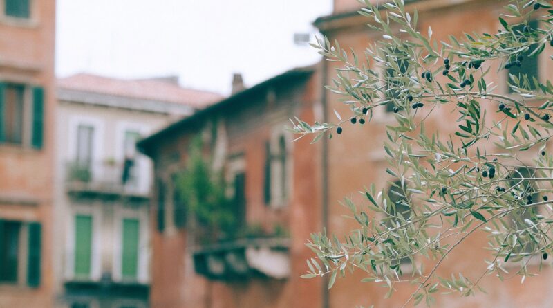 branches of tree against houses