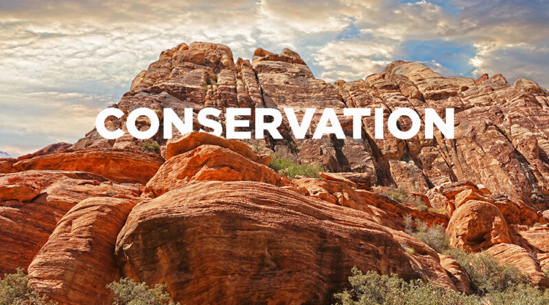 Conservation Southwest