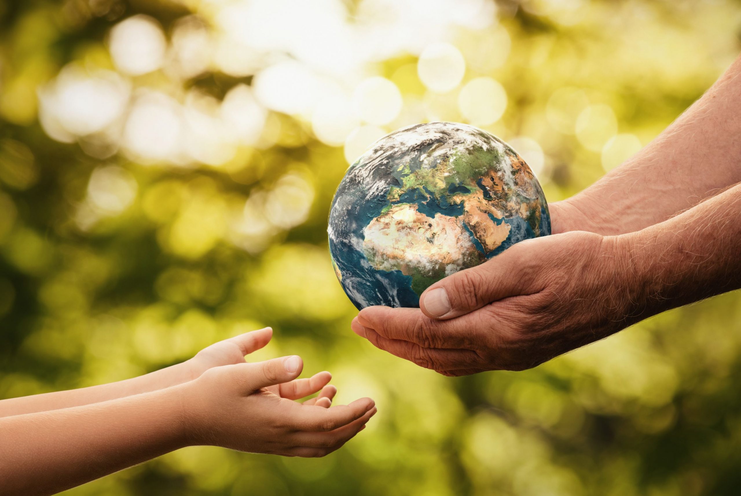Six Climate Change Grants to Benefit the Environment in 2022