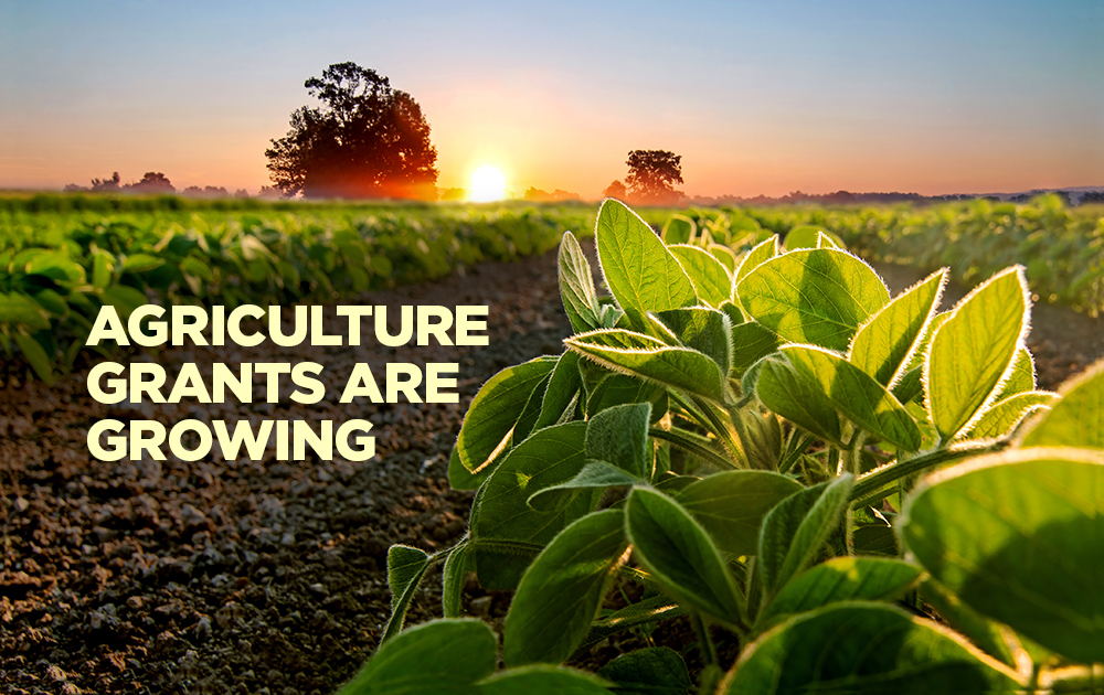How to Find Grants for Your Farming or Agriculture Business
