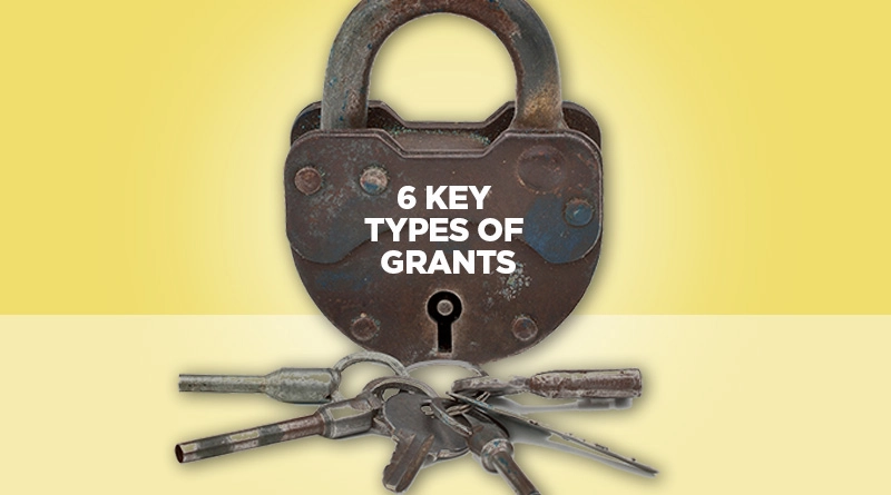 What Are the 6 Different Types of Grants?