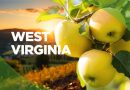 Spotlight on West Virginia Grants: Not Just Coal Miners Anymore