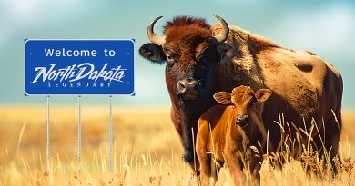 Spotlight: State of North Dakota