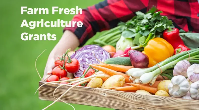 Farm to Table - Agriculture Grants Vital to Maintain the Food Chain