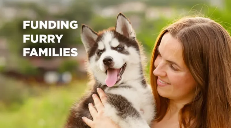Paws Up for Dog Moms: Funding Support for Furry Families