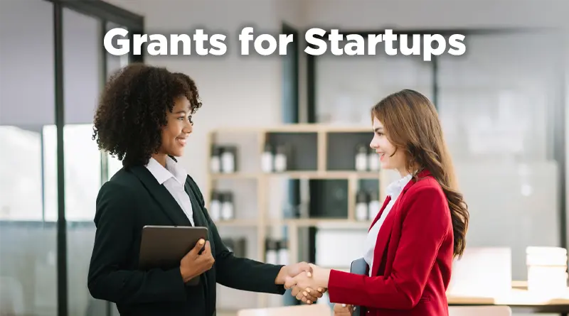 Can Startups With No Revenue Still Get Grants?
