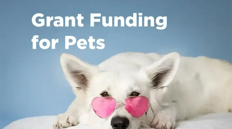 2025 Grant Funding for Pets and Pet Shelters