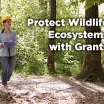 Woman wearing a hard hat walks through a forest while taking notes on a clipboard, representing environmental fieldwork and conservation efforts, with text overlay: “Protect Wildlife Ecosystems with Grants.”