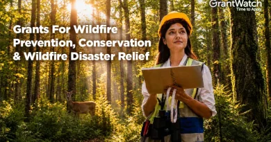 A forestry professional wearing a hard hat and safety vest stands in a sunlit forest holding a clipboard, assessing woodland conditions. A deer is visible among the trees in the background. Overlay text reads: "Grants For Wildfire Prevention, Conservation & Wildfire Disaster Relief" with the GrantWatch logo in the upper right corner.