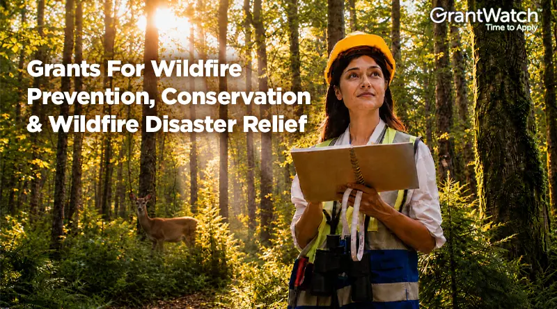 A forestry professional wearing a hard hat and safety vest stands in a sunlit forest holding a clipboard, assessing woodland conditions. A deer is visible among the trees in the background. Overlay text reads: "Grants For Wildfire Prevention, Conservation & Wildfire Disaster Relief" with the GrantWatch logo in the upper right corner.