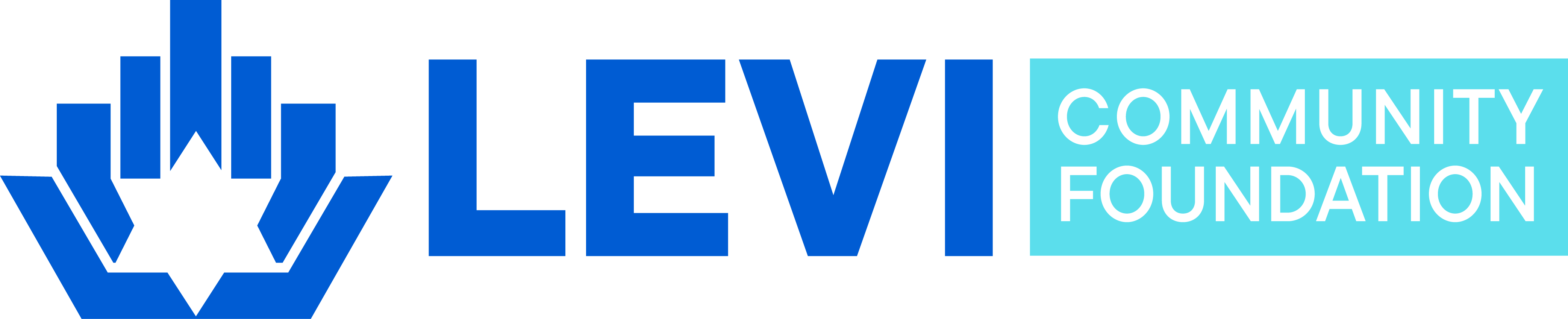 Levi Endowment Foundation logo